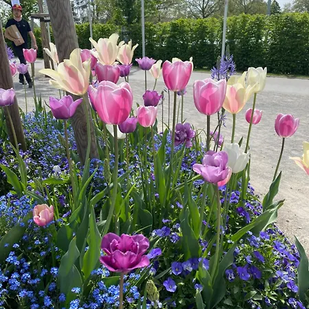 Apartamento Schoene In Der Altstadt *