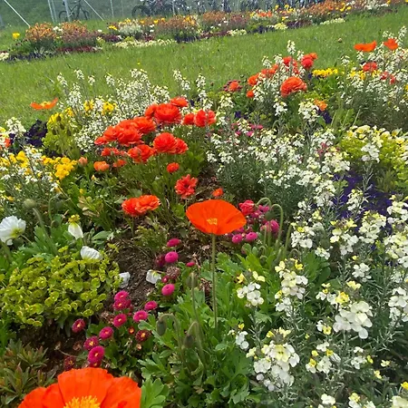 Apartamento Schoene In Der Altstadt Wangen im Allgäu