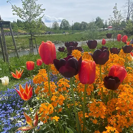 Schoene In Der Altstadt Wangen im Allgäu