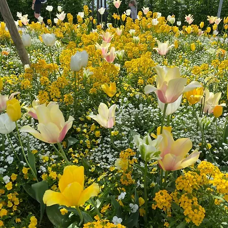 Schoene In Der Altstadt Apartamento Wangen im Allgäu