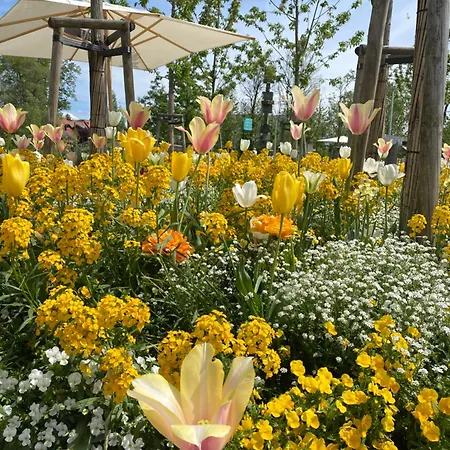 Schoene In Der Altstadt Apartamento *