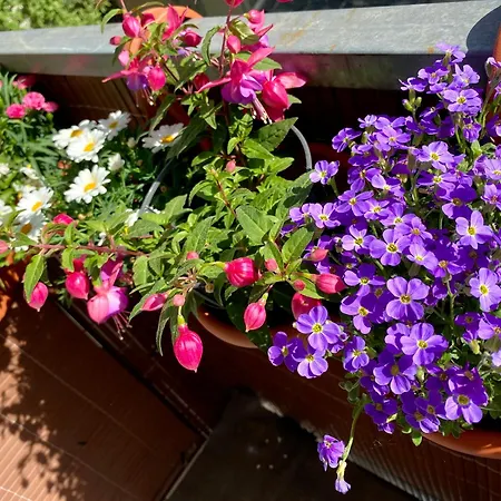 Schoene In Der Altstadt Apartamento *